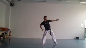 TAEGEUK 5 (oh jang) - Taekwondo - Poomsae