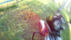 Обзор Мопеда Sigma Sport Полуавтомат WTF???