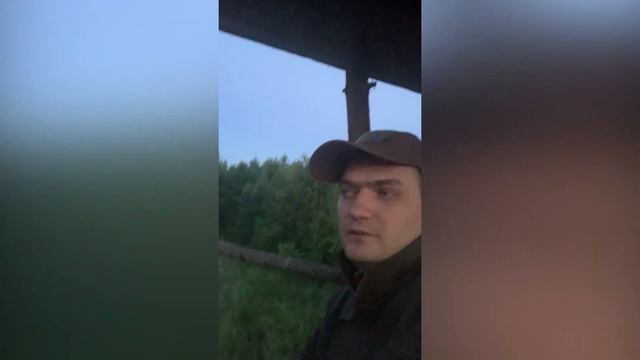 Охота на кабана с вышки. Тепловизор.