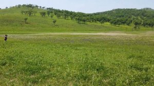 Путешествие на мыс Сосновый Приморский край