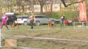 Рабочие суки 2