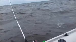 Обзор лодки Альтаир 385