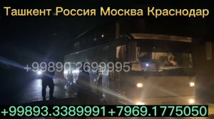 Ташкент Москва автобус Краснодар Мариуполь автобус