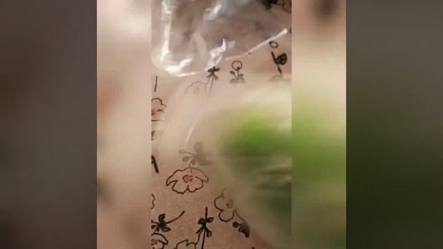 Свежепросольные огурцы в пакете,быстрый рецепт,огурцы з два часа