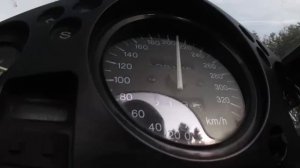 Honda CBR 1100 XX Super Blackbird V-max