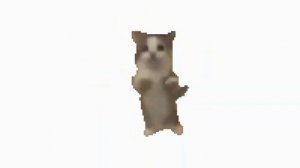 кот танцует под весёлую музыку 1 час!!!