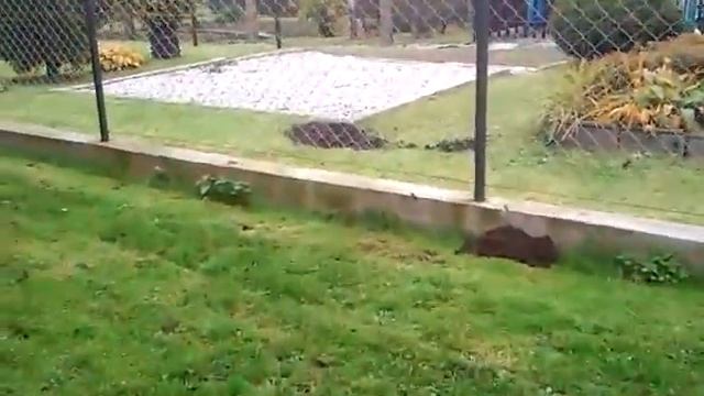 UFO koniec swiata