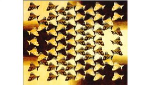 Композиционные основы макетирования в полиграфическом дизайне.Эшер.