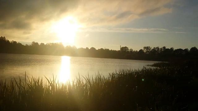 Рыбалка Гомельская область смотреть онлайн