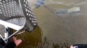 Кто то растроился потеряв это. Подводный поиск с эквиноксом.