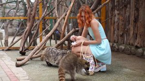 Контактный зоопарк в Геленджике|"Зов Джунглей"|Канатная дорога Олимп