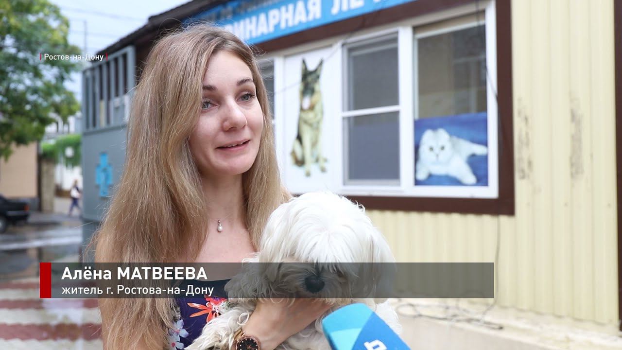 Традиционный день льготной стерилизации кошек и собак 29 июля
