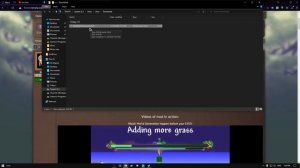 ?Установка модов вручную?tModLoader?