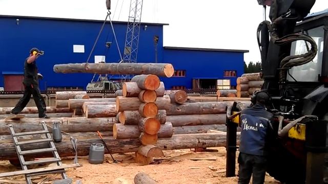 Работа рубщиков срубов из сухостоя КЕЛО установкой Пату 5000