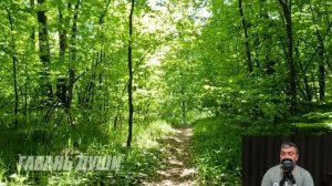 (Не) случайные попутчики. История, которая не оставит вас равнодушными