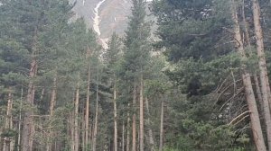 Дорога в Приэльбрусье и экотропа