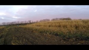 Охота на Зайца 2018 \\ Охота на зайца в Краснодарском крае