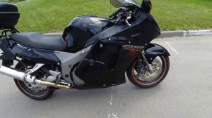 Honda CBR1100 XX + прямоток Delkevic