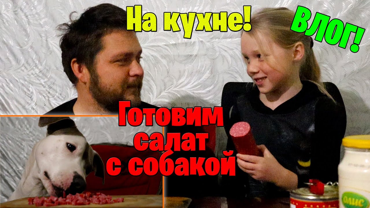 Готовим салат из пекинской капусты с собакой смотреть онлайн