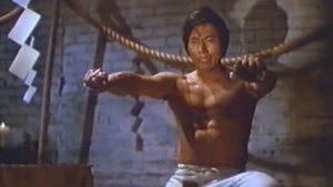 10 фильмов про ниндзя, которые надо увидеть в этой жизни