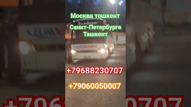 Москва ташкент санкт-петербург ташкент #rek #trending #top #рек #toshkent #moscow #uzbekistan