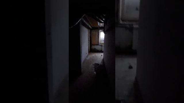 Подвал на Тульской. Очень большой.