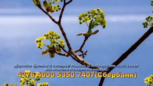 Библейские чтения Великого поста и Святые дня. Седмица сырная – сплошная. (12.03.2021) смотреть онлайн