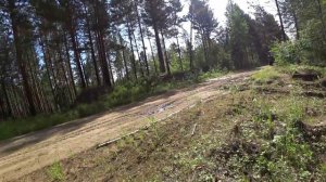 МЕТАЛЛОКОП на ужд!  Рвем и ломаем РЕЛЬСЫ на газ 66! Поиск новых мест по старой узкокалейки!