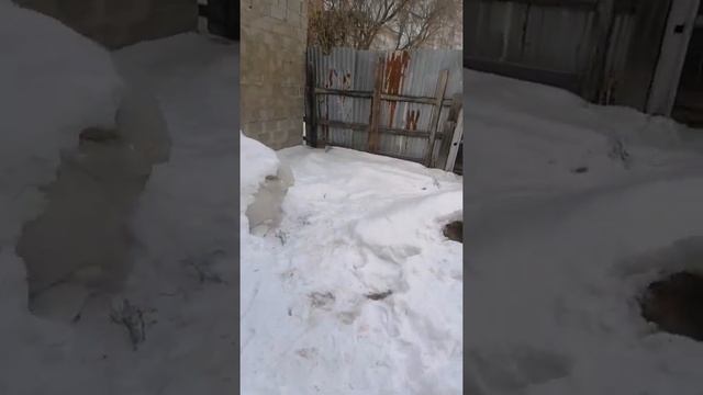 День мамы!!! Хороший, добрый праздник!!! смотреть онлайн