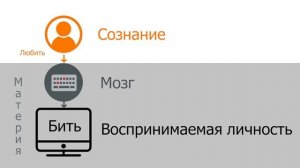 Мозг и Сознание. Как связаны мозг, сознание и душа.