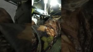 Трудяга соболь, запросил ремонта, замена шаровых верхних и нижних, не без приключений...