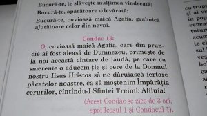 Жизнь Агафьи Кушлэуской (Субтитры). 3 часть акафиста