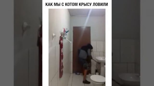 Ловили мышь с котом