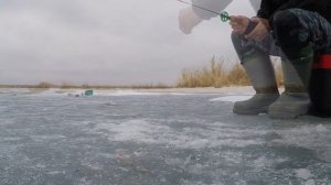 ЗИМНЯЯ РЫБАЛКА - Ловля на безмотылку -Плотва и окунь
