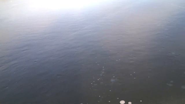 Удивительный момент осени - прозрачный лед! смотреть онлайн