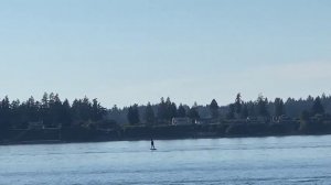 Электрическая доска для серфинга на подводных крыльях.mp4