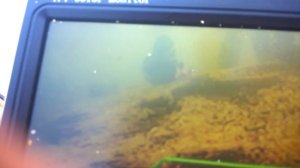 Рыболовная камера для съемки под водой