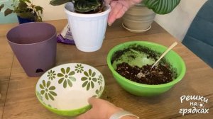 Пересадка калатеи после восстановления