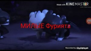 каналу "Начная и Дневная фурия" так как у него сегодня ДР