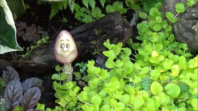 Дача. Тоня с Юрой нас ждали. Птенец. Дела дачные. смотреть онлайн