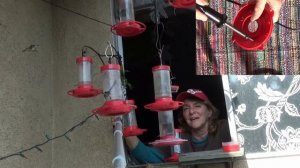 BEST $4 Hummingbird Feeder MY Favorite 100's of Hummingbirds Feeding ALL DAY from DIY Nectar No Bee