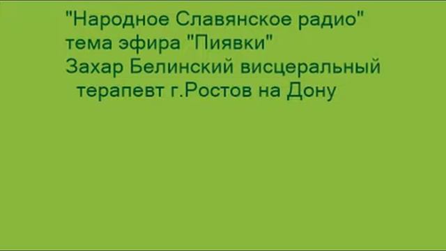 "Пиявки", Захар Белинский г.Ростов на Дону смотреть онлайн