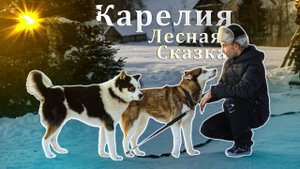 Карелия. Лесная сказка. Деревня Умосту на берегу озера в глухом лесу.
