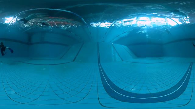 Бассейн под водой 360 - Спортлайф Подол Киев