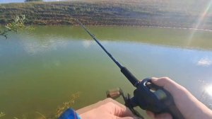 Моя первая ЩУКА на БИГБЕЙТ + ОГРОМНЫЙ ОКУНЬ и не только / Рыбалка на озёрах