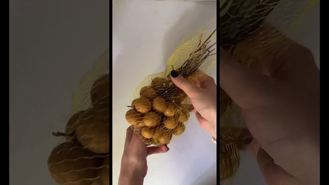 Готовим салат из тропических фруктов-залипательное видео- смотреть со звуком| #balifood #healthyday