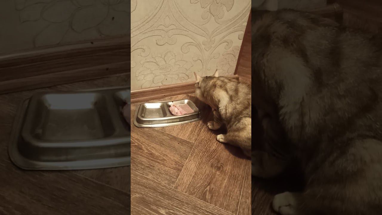 4 апреля 2021 г. смотреть онлайн