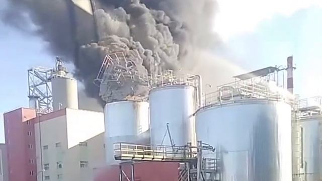 Горит завод целлюлозы в Светлогорске смотреть онлайн