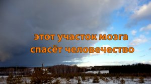 Волевой центр: участок мозга, который спасёт человечество