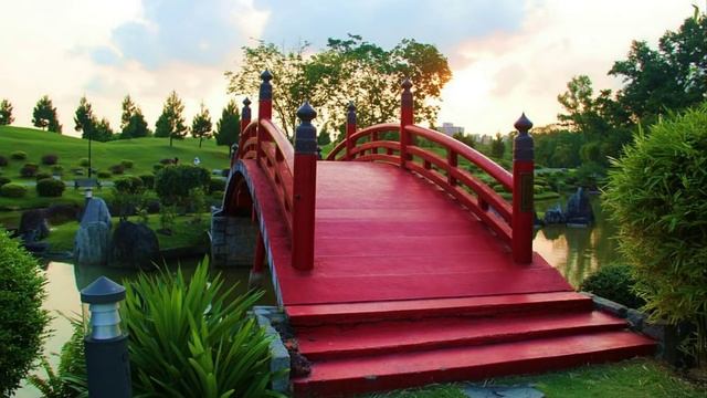 Идеи для Сада со всего Света смотреть онлайн